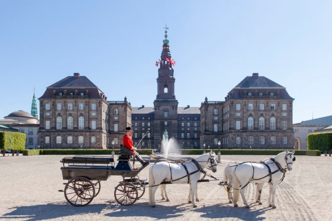 Royal horses_Christiansborg.jpg