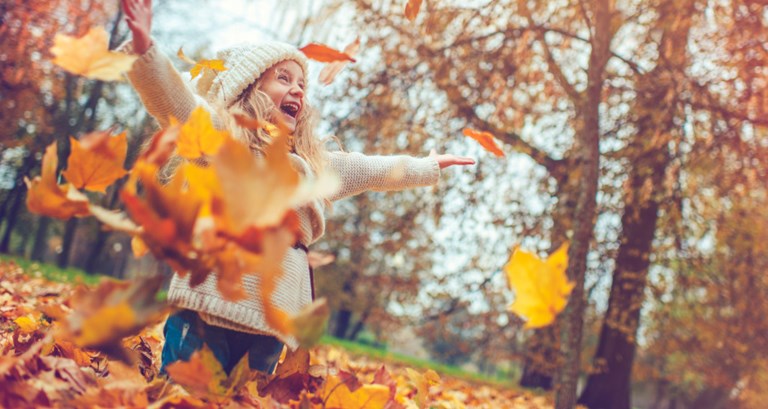 Autumn holiday in Stockholm - A child is happy and throwing autumn leafes in the wood.